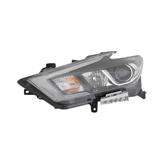 Eagle Eyes® - Driver Side Replacement Headlight (Standard Line)