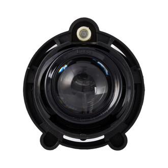 Eagle Eyes® - Driver or Passenger Side Replacement Fog Light (Standard Line)
