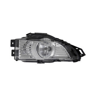 Eagle Eyes® - Driver Side Replacement Fog Light (Standard Line)