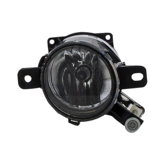Eagle Eyes® - Passenger Side Replacement Fog Light (Standard Line)