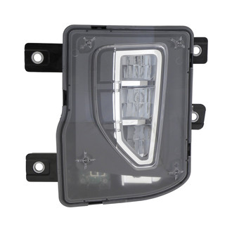 Eagle Eyes® - Driver Side Replacement Fog Light (Standard Line)