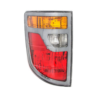 Eagle Eyes® - Driver Side Replacement Tail Light Lens and Housing (Standard Line)