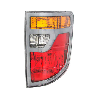 Eagle Eyes® - Passenger Side Replacement Tail Light Lens and Housing (Standard Line)