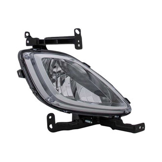 Eagle Eyes® - Passenger Side Replacement Fog Light (Standard Line)