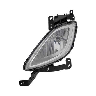 Eagle Eyes® - Driver Side Replacement Fog Light (Standard Line)