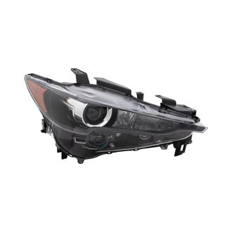 Eagle Eyes® - Passenger Side Replacement Headlight (Standard Line)
