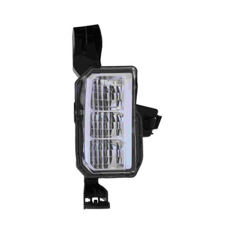Eagle Eyes® - Passenger Side Replacement Fog Light (Standard Line)