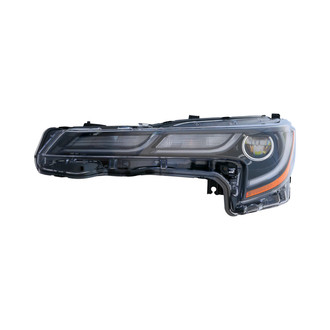 Eagle Eyes® - Driver Side Replacement Headlight (Standard Line)