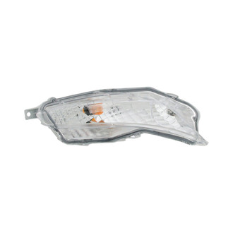 Eagle Eyes® - Passenger Side Replacement Turn Signal/Parking Light (Standard Line)