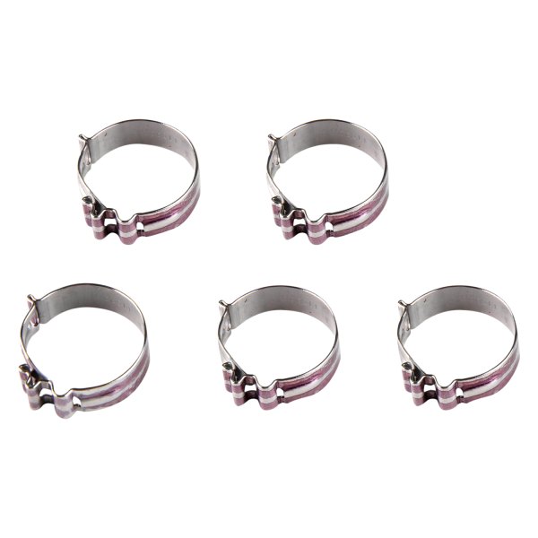 Earl's Performance® - Super Stock™ Light Weight Stainless Steel Engine Coolant Clamp Set