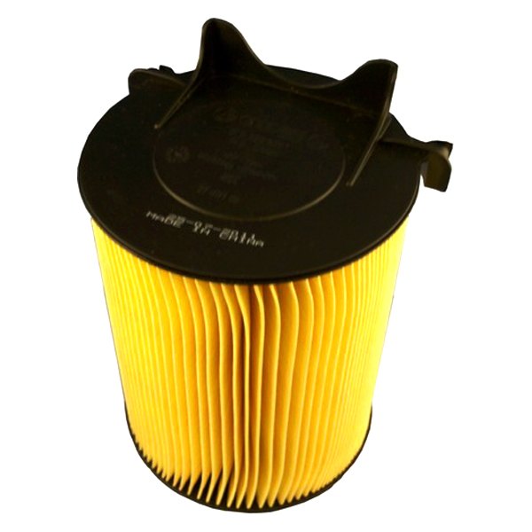 Ecogard® XA10175 Cylinder Air Filter