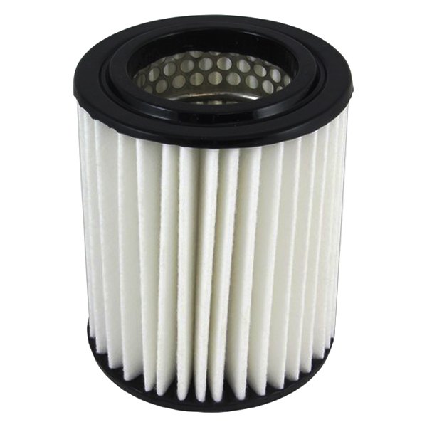 Ecogard® - Cylinder Air Filter