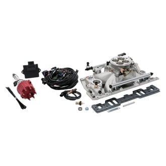 Edelbrock® - Pro-Flo 4 EFI System