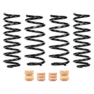 Eibach® - Pro-Kit Lowering Coil Springs