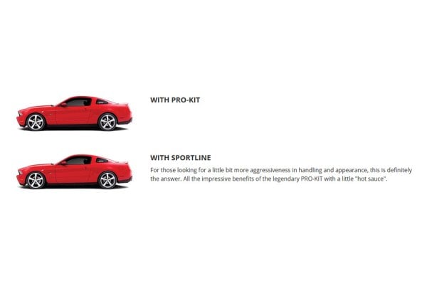 Molle Eibach Pro-Kit E10-20-046-02-22 - Per BMW Z4 G29 E Toyota Supra DB, Abbassamento Fino A 40mm