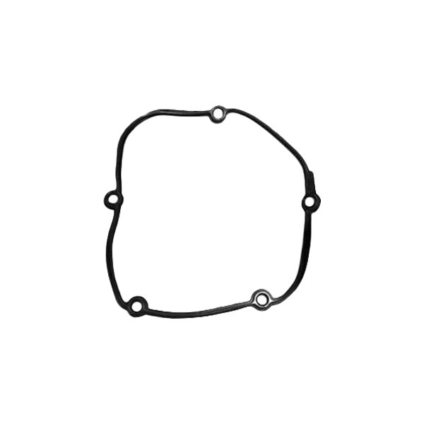 Elwis® - Outer Timing Cover Gasket