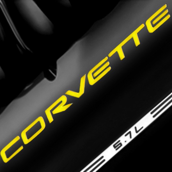 Eurosport Daytona® - Classic Series Gold Fuel Rail Letter Kit with Corvette Logo