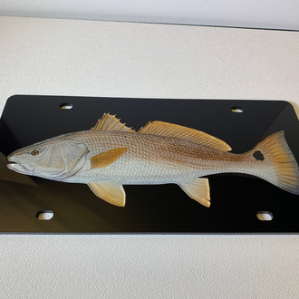 Eurosport Daytona® - Fish Style Lazer Black License Plate with Redfish