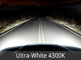 EVO Lighting Halogen Bulbs Installed - Ultra White