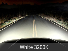 EVO Lighting Halogen Bulbs Installed - White