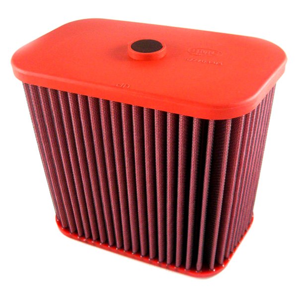 Fabspeed® - BMC® F1 Air Filter