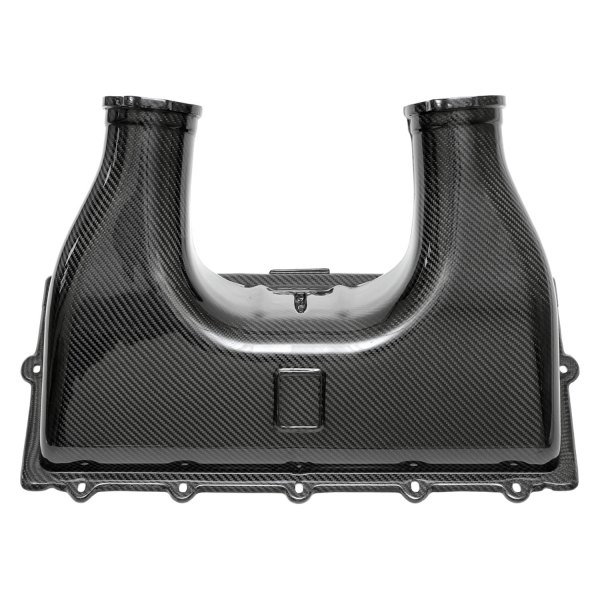 Fabspeed® - Airbox Cover