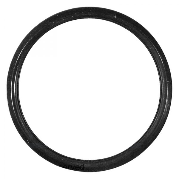 Facet® - Engine Coolant Thermostat Seal