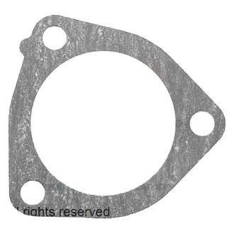 Facet® - Engine Coolant Thermostat Seal