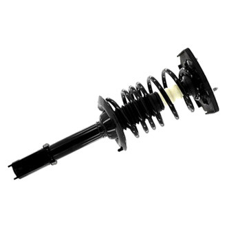 FCS® - Rear Passenger Side Complete Strut Assembly