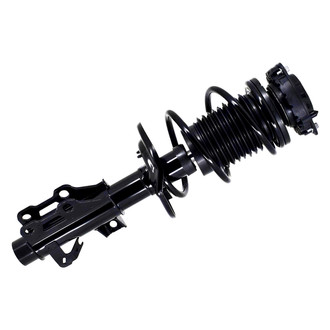 FCS® - Front Passenger Side Complete Strut Assembly