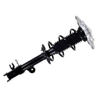 FCS® - Rear Driver Side Complete Strut Assembly