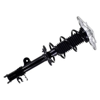 FCS® - Rear Passenger Side Complete Strut Assembly