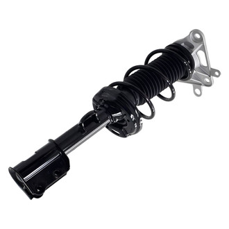 FCS® - Rear Passenger Side Complete Strut Assembly