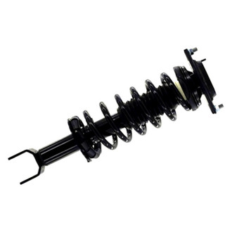 FCS® - Rear Driver or Passenger Side Complete Strut Assembly
