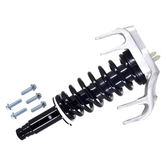 FCS® - Front Passenger Side Complete Strut Assembly