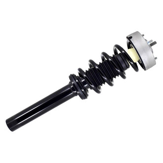 FCS® - Complete Strut Assembly