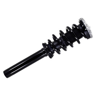 FCS® - Front Driver or Passenger Side Complete Strut Assembly