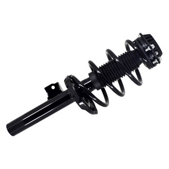 FCS® - Front Driver Side Complete Strut Assembly