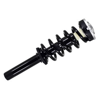 FCS® - Front Driver or Passenger Side Complete Strut Assembly
