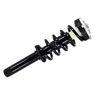 FCS® - Complete Strut Assembly