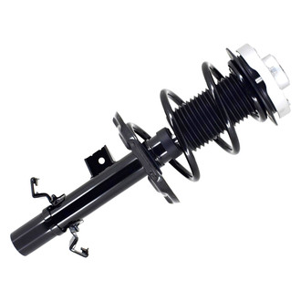 FCS® - Front Driver Side Complete Strut Assembly