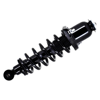 FCS® - Rear Driver Side Complete Strut Assembly