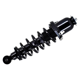FCS® - Rear Passenger Side Complete Strut Assembly
