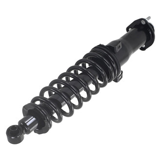 FCS® - Rear Passenger Side Complete Strut Assembly