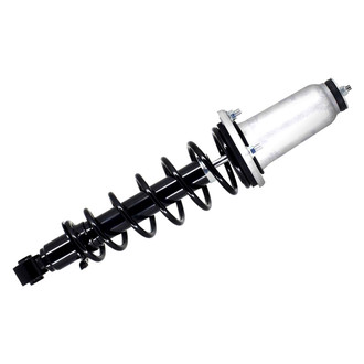 FCS® - Rear Driver Side Complete Strut Assembly
