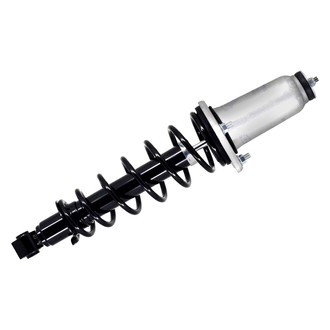 FCS® - Rear Passenger Side Complete Strut Assembly