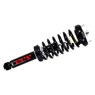 FCS® - Rear Passenger Side Complete Strut Assembly