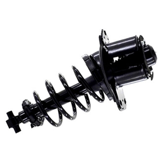 FCS® - Rear Driver Side Complete Strut Assembly