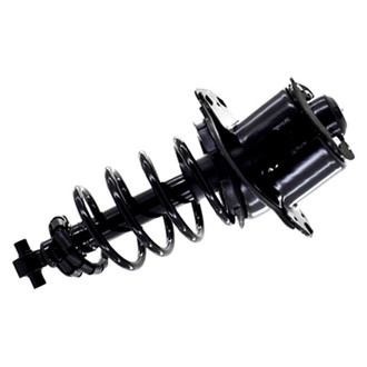 FCS® - Rear Passenger Side Complete Strut Assembly