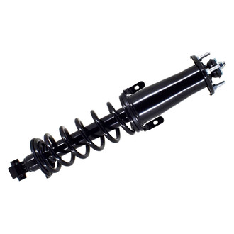 FCS® - Rear Driver or Passenger Side Complete Strut Assembly